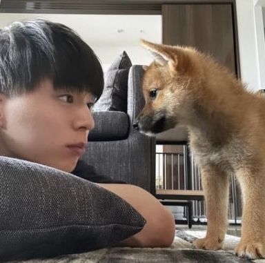 サクラ SHINTARO