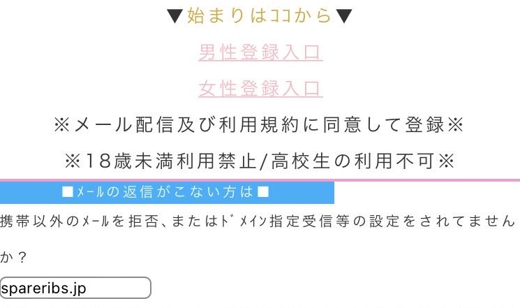 スペアリブ 詐欺