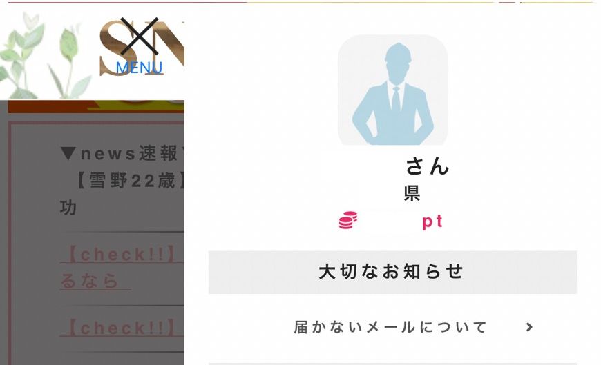 LL 詐欺